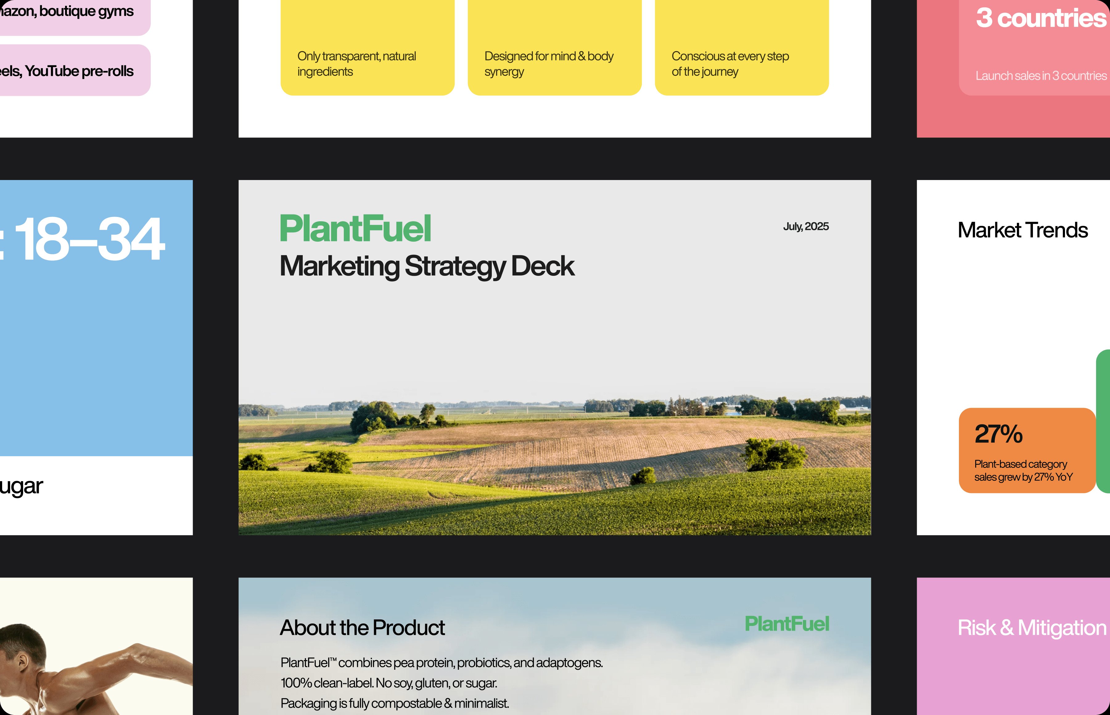 PlantFuel — concept marketing strategy